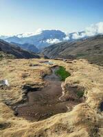 Mountain hike. View of small mountain puddie that serve as a lazy herd of cows. photo