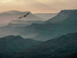 Vulture flies over the evening mountain valley. photo