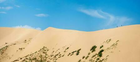 A wide panorama of a large dune with a small silhouette of people walking on it against the blue sky photo