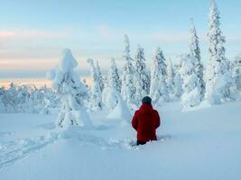 meditación de contemplación en el nieve. hombre soportes con su espalda en profundo nieve y admira el maravilloso puntos de vista de cubierto de nieve arboles foto