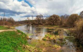 Panorama of the Izvarka river on a cloudy May day. Evening rural landscape with flood waters, marsh meadow grass, swamp hummock with convex grass. Family estate of N.K. Roerich. Izvara. Russia. photo