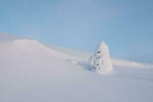 Winter snow-covered minimalistic landscape. Minimalistic landscape with a lonely wrapped in snow tree in a winter field. Christmas holidays and winter vacations background. photo