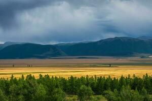 Dark atmospheric landscape with steppe in highlands. Mountains and bright golden field among low clouds. Beautiful cloudy rainy weather in mountains. photo