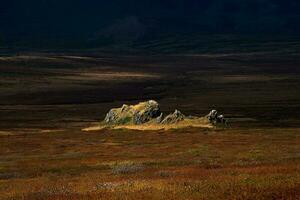 Dramatic golden light and shadow on the rock in autumn steppe. Altai mountains. photo