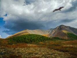 Dramatic golden light and shadow on the rock in autumn steppe. photo