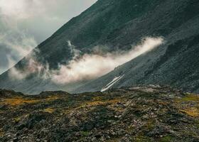 Dark atmospheric foggy mountain landscape. Lichens on sharp stones. Stone field in dense fog in highlands. photo