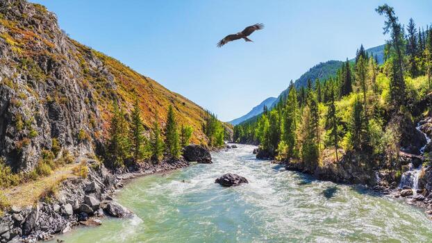 poder katún río con amarillo otoño arboles en altai montañas, Siberia, Rusia. vistoso otoño paisaje con dorado hojas en arboles a lo largo amplio turquesa montaña río en luz solar. foto