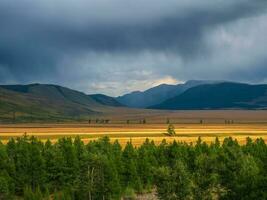 Dark atmospheric landscape with steppe in highlands. Mountains and bright golden field among low clouds. Beautiful cloudy rainy weather in mountains. photo