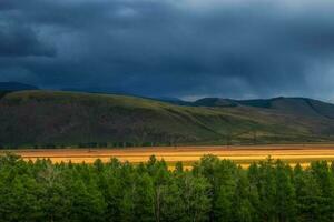 Dramatic landscape with the edge of a coniferous forest and mountains in a light fog. Atmospheric dramatic autumn mountain landscape. Kurai steppe. Altai Mountains. photo