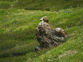 silhouette of a bird, a rooster made of stone. Stone idols, mystical spirits of the mountains locked in stone. Demon in the stone. Mystical Altai Mountains. photo