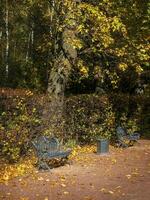 calado hierro fundido banco debajo un otoño árbol. foto