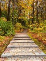 Empty green ecological path in autumn, bottom-up view. Fallen red leaves on the trail. photo