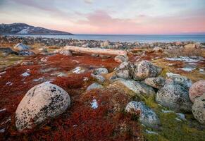 Bench on the shore of the Barents sea. The surface of the beach on the north ocean is covered with large polished round stones of gray color of different sizes. photo