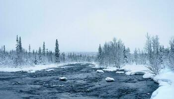 Panoramic view of wild winter snowy Northern forest with river on a polar day photo