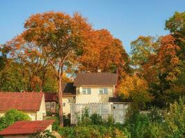 cabaña pueblo en un soleado otoño colina entre dorado arboles el rural retaguardia en el caer. foto