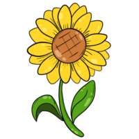 the sunflower clipart png