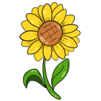 de zonnebloem clip art PNG