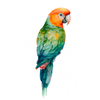 papegoja vattenfärg ClipArt ai genererad png