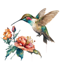 colibri fleurs aquarelle clipart ai généré png