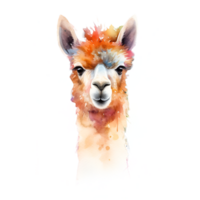 Alpaca Watercolor Clipart png