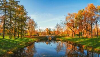 Sunny autumn public park with golden trees over a pond and people walking around. Tsarskoe Selo. Russia. photo