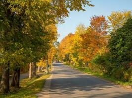 Village in autumn. Russian village road. Paved road through the dacha village in the fall photo