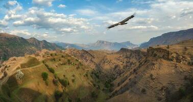 Mountain valley with a soaring eagle. A rocky ledge stretching into the distance against the background of mountains covered with sparse vegetation. Panoramic view. photo