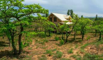 Wooden cottage in lush greenery in the desert. photo