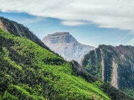 Steep mountain slopes covered with forest. Green planet. Sunny natural background with green mountains. photo