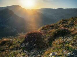 Evening in the mountains. Sunset rays of the sun fall on the mountain slopes covered with wild flowering bushes. photo