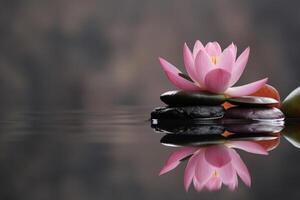 lotus flower with stone on the water ai generate photo