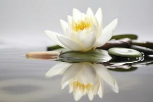 Beautiful lotus with stone on the water ai generate photo
