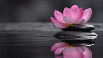 lotus flower with stone on the water ai generate photo