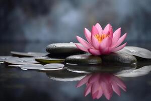 Beautiful lotus with stone on the water ai generate photo
