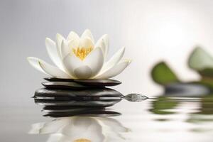 Beautiful lotus with stone on the water ai generate photo