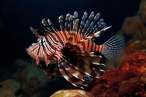 Portrait lion fish in the ocean ai generate photo