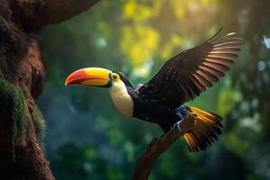 Portrait Toucan bird on the forest ai generate photo