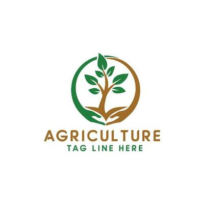Root Leaf Family Tree of Life Oak Banyan Maple Stamp Seal Emblem Label logo design vector