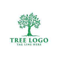 tree vector icon. Nature trees vector illustration logo design. green spring tree