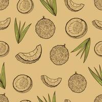 coconut hand drawn seamless pattern in vintage style vector