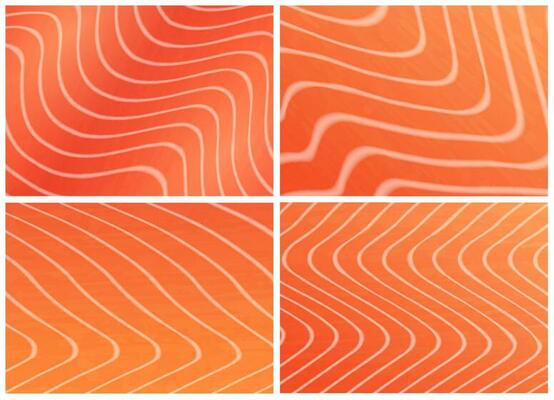 Salmon trout fish meat texture background set