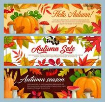 Hello Autumn and fall seasonal sale vector banners