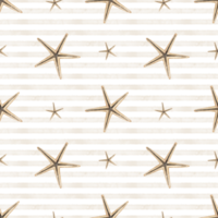 Star shell seamless Pattern on striped background. Hand drawn watercolor illustration of beige seashells for wrapping paper or textile design in marine style. Underwater or beach backdrop with lines png