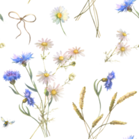 acuarela sin costura modelo con azul campo flores, florecimiento de maíz hierba, manzanilla, y olvidar yo no, dibujo por acuarela, mano dibujado floral ilustración. png