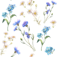 Watercolor seamless pattern with blue field flowers, Cornflower herb, chamomile, and forget me not, drawing by watercolor, hand drawn floral illustration. png