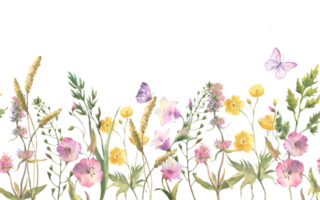 Seamless border with Herbs and wild flowers, leaves, butterflies. Botanical Illustration. Template with place for text png