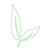 botanical icon illustration vector