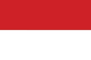 Flag of Indonesia. Indonesian flag vector