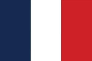 bandera de Francia. francés bandera vector