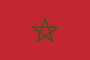 Marruecos bandera. bandera de Marruecos vector